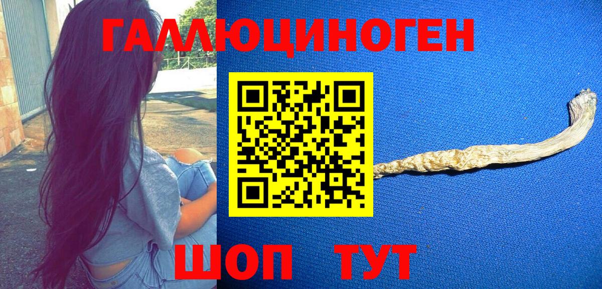 Ковров  Псилоцибиновые грибы мицелий  Вход с VPN 